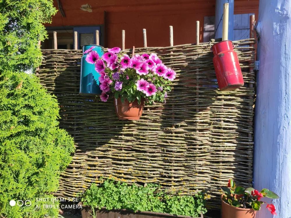 Agroturismo Folwark Malinowy Chrusniak