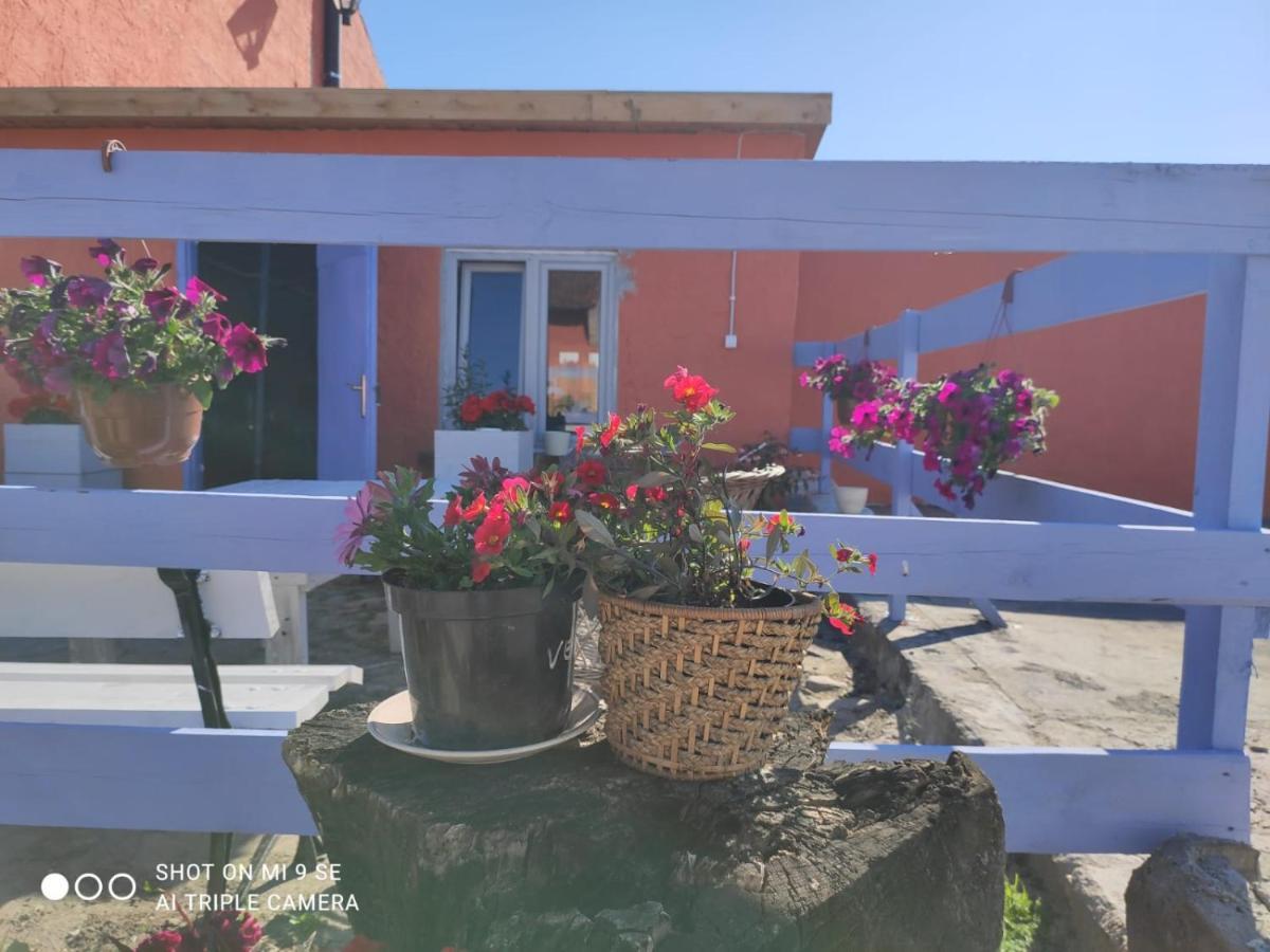 Agroturismo Folwark Malinowy Chrusniak *