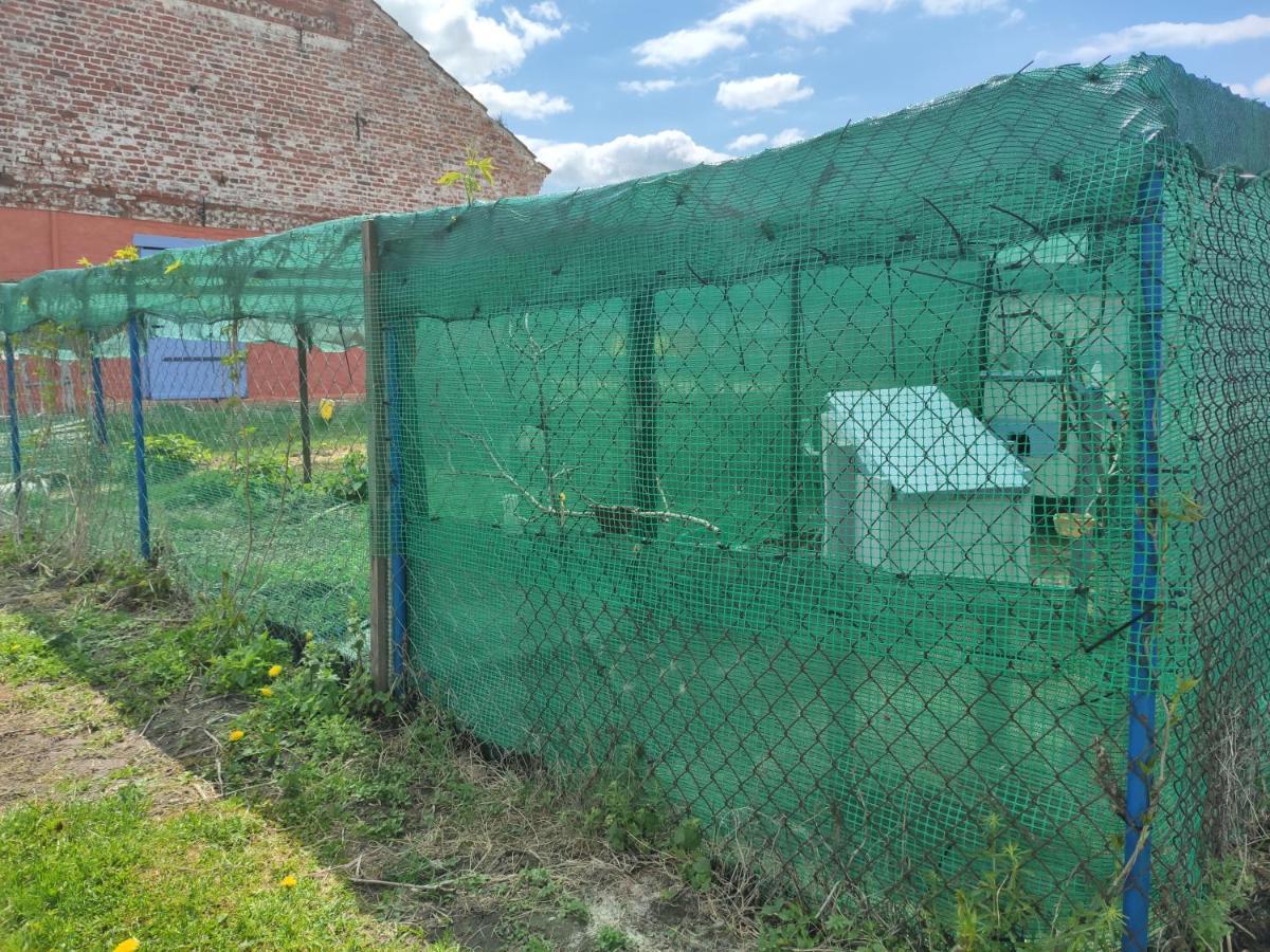 Agroturismo Folwark Malinowy Chrusniak *