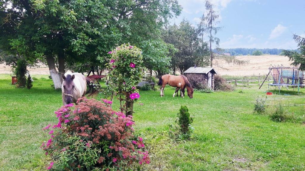 Agroturismo Folwark Malinowy Chrusniak *