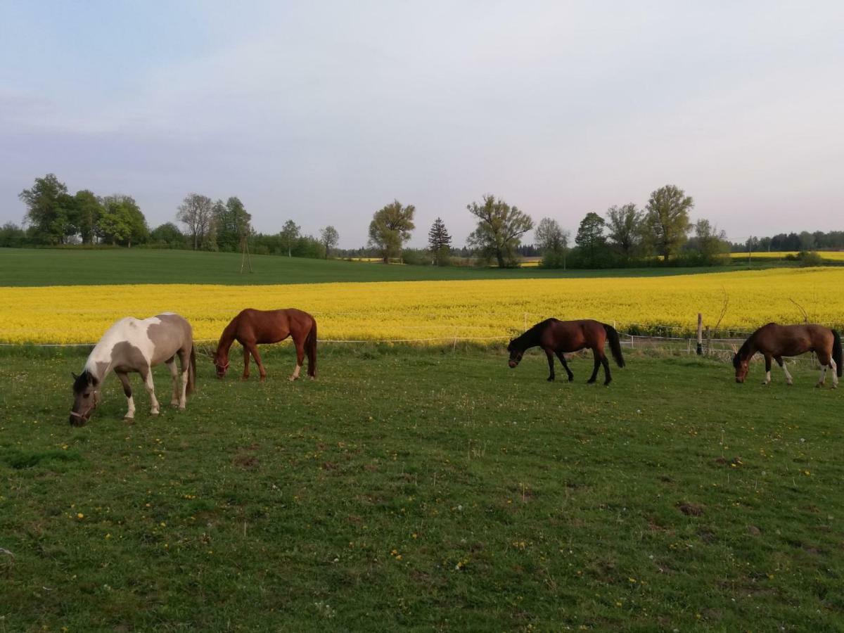 Folwark Malinowy Chrusniak Agroturismo